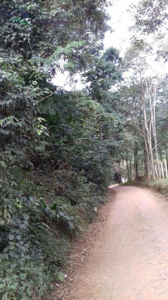 Terreno, 2 hectares - Foto 4