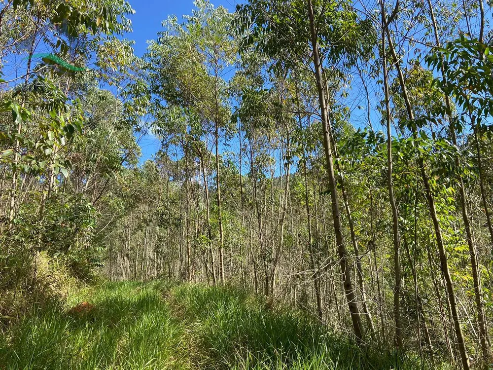 Terreno, 21 hectares - Foto 8
