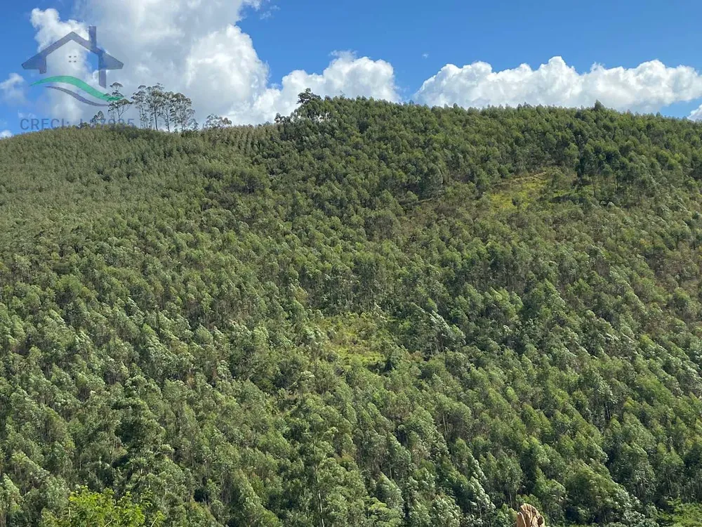 Terreno, 21 hectares - Foto 12