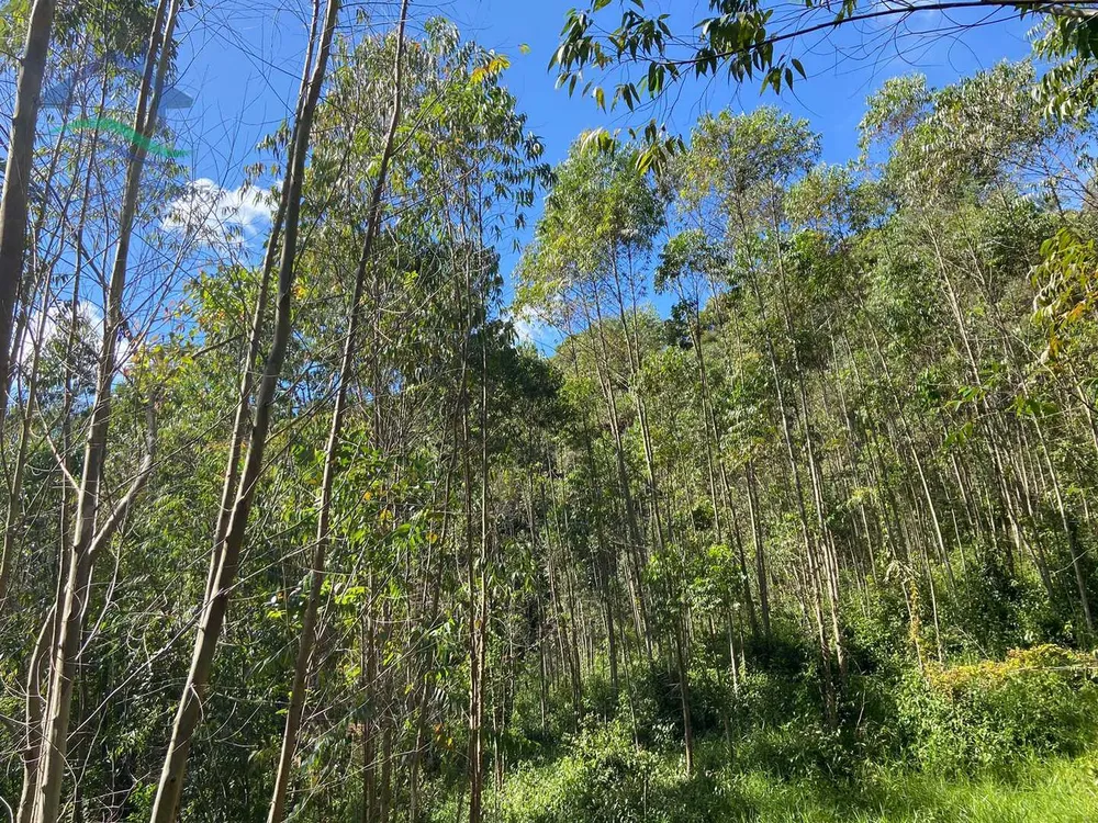 Terreno, 21 hectares - Foto 11
