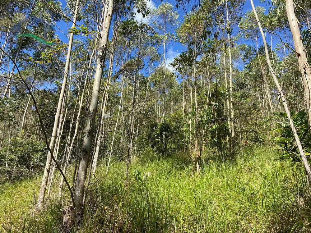 Terreno, 21 hectares - Foto 4