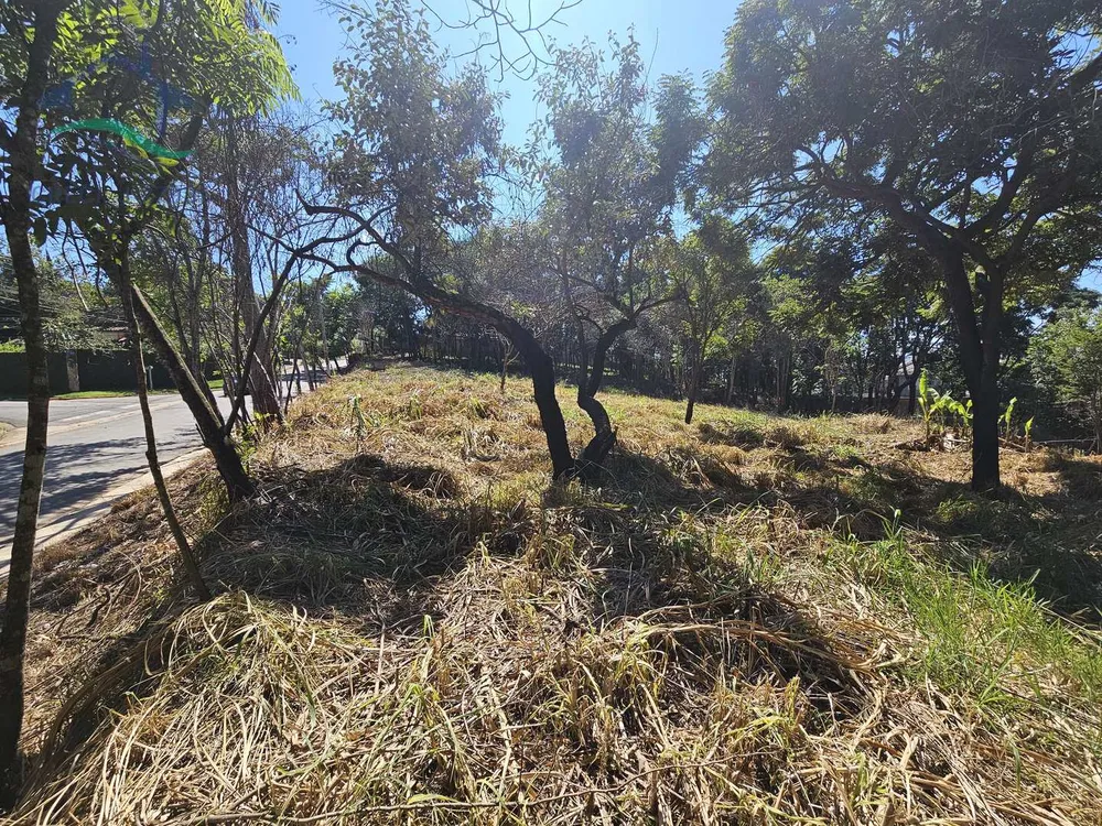 Terreno, 3769 m² - Foto 12