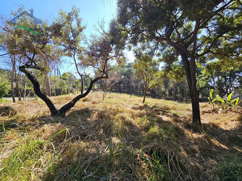 Terreno, 3769 m² - Foto 8