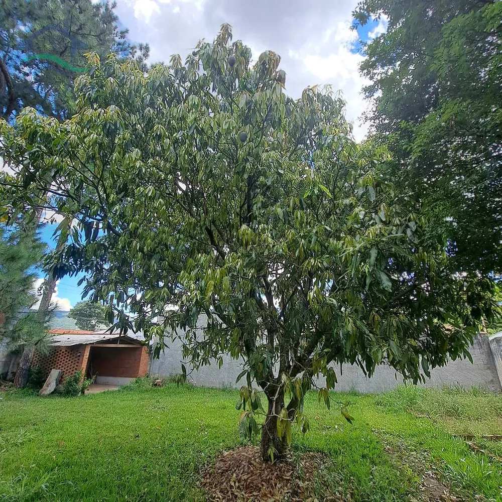 Terreno, 347 m² - Foto 3
