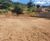 Terreno, 800 m² - Foto 3