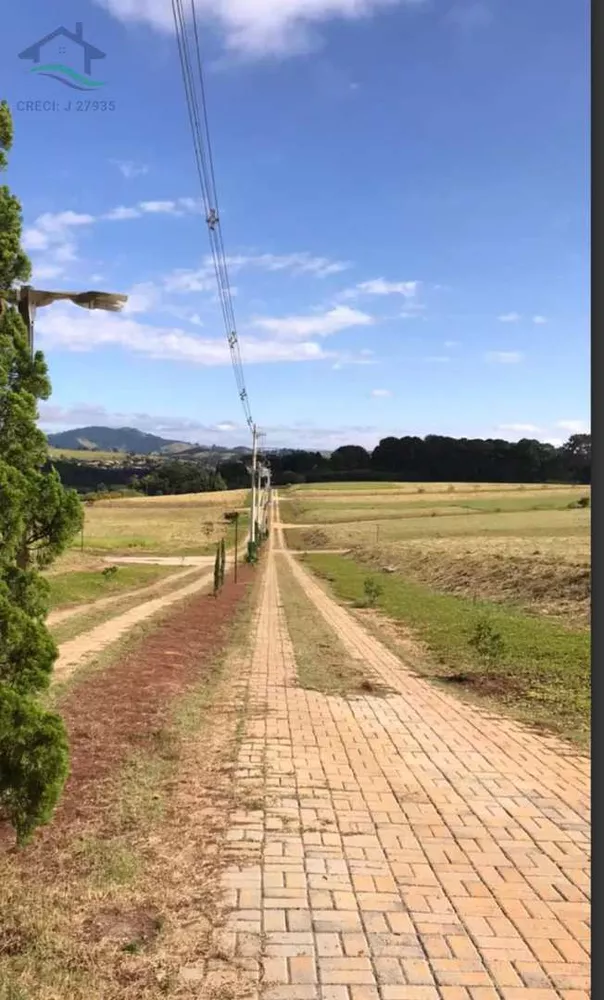 Terreno à venda, 1000m² - Foto 3