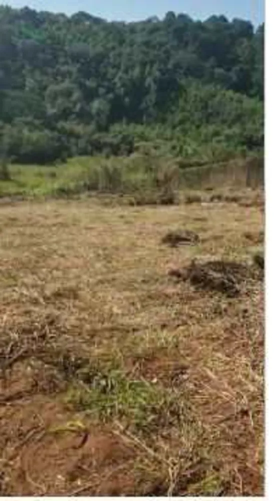 Terreno, 6713 m² - Foto 5