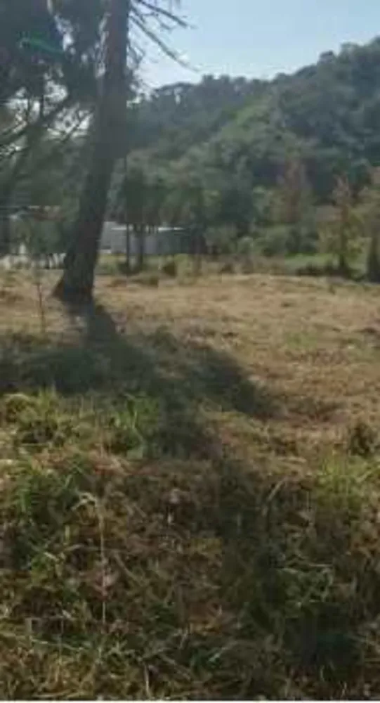 Terreno, 6713 m² - Foto 6