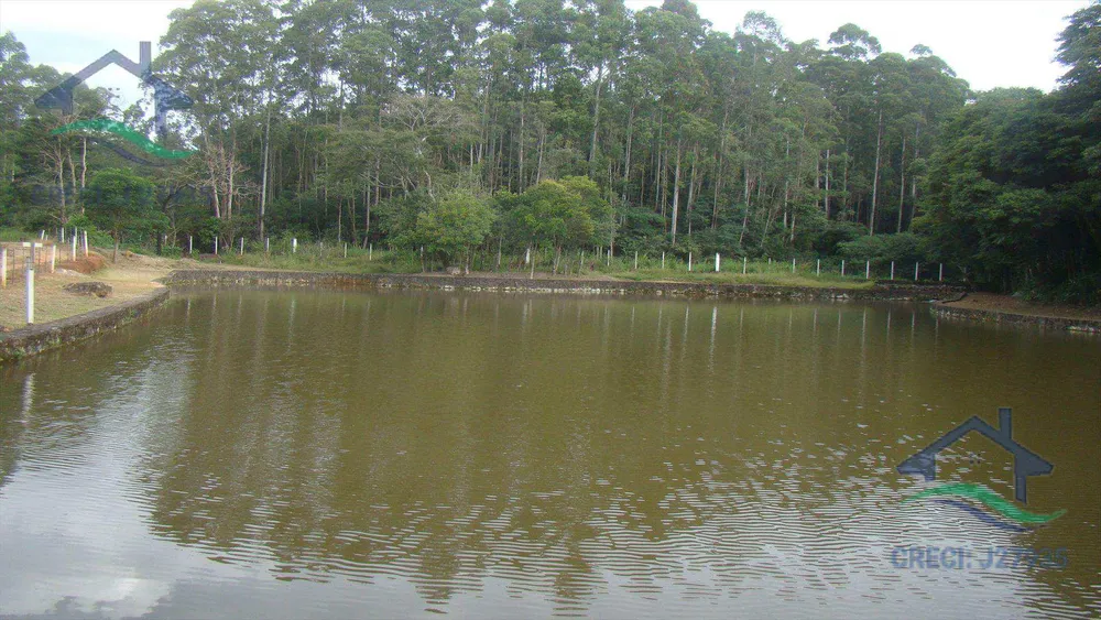 Terreno, 35 hectares - Foto 2