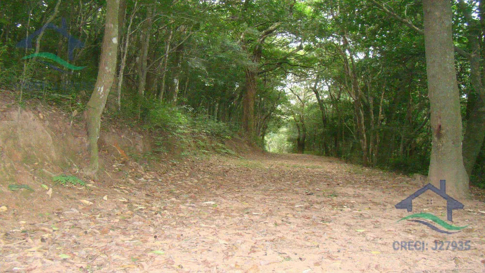 Terreno, 35 hectares - Foto 6