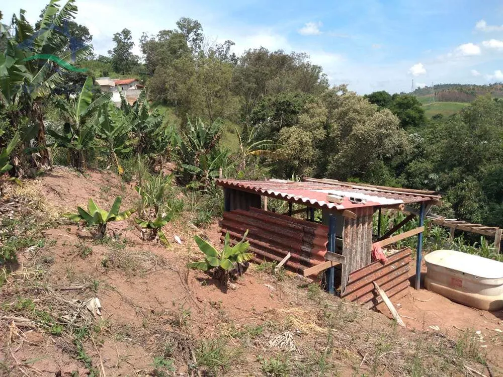 Terreno, 8 hectares - Foto 7