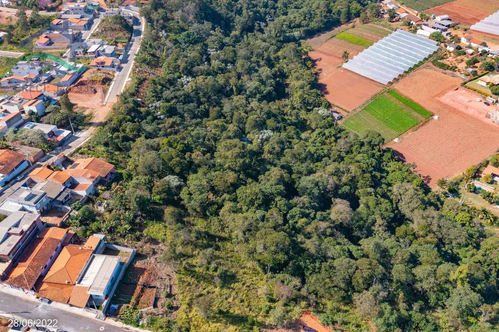 Terreno, 8 hectares - Foto 14