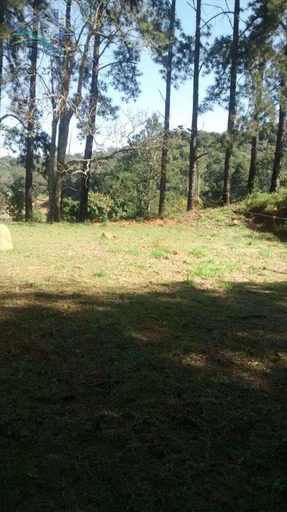 Sítio, 2 quartos, 2 hectares - Foto 7