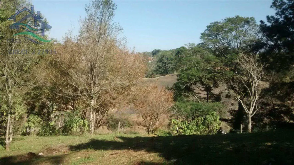 Sítio, 2 quartos, 2 hectares - Foto 3