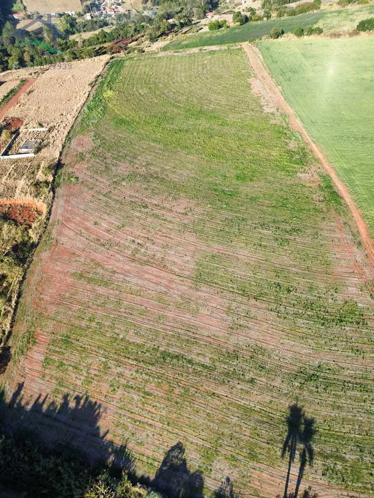 Sítio, 12 hectares - Foto 12