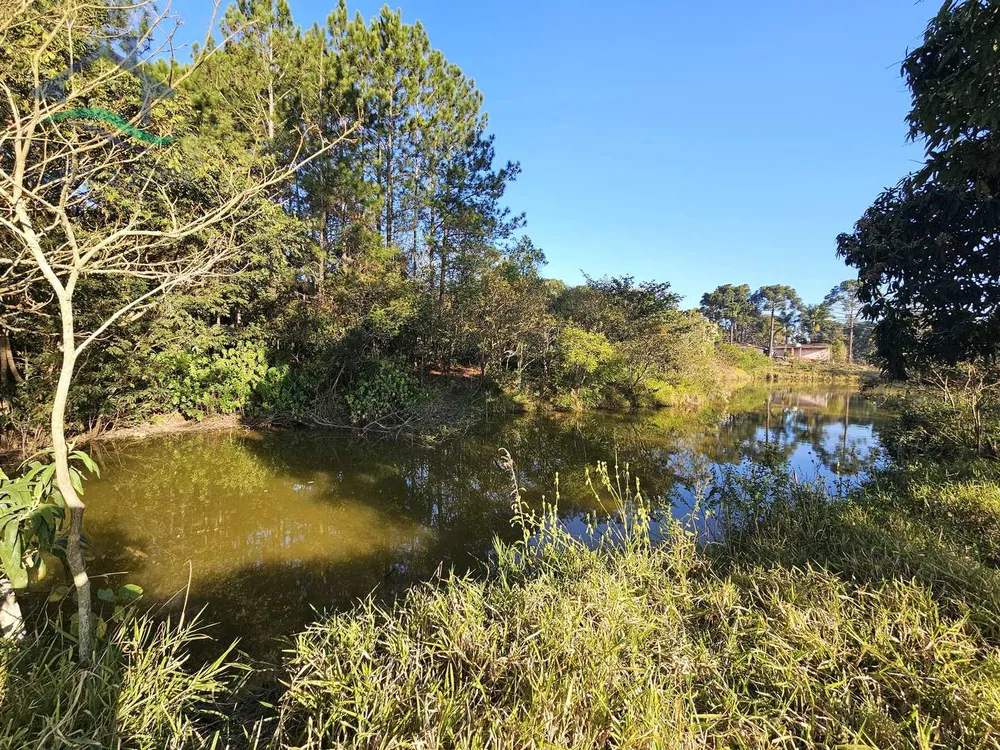 Sítio, 12 hectares - Foto 4