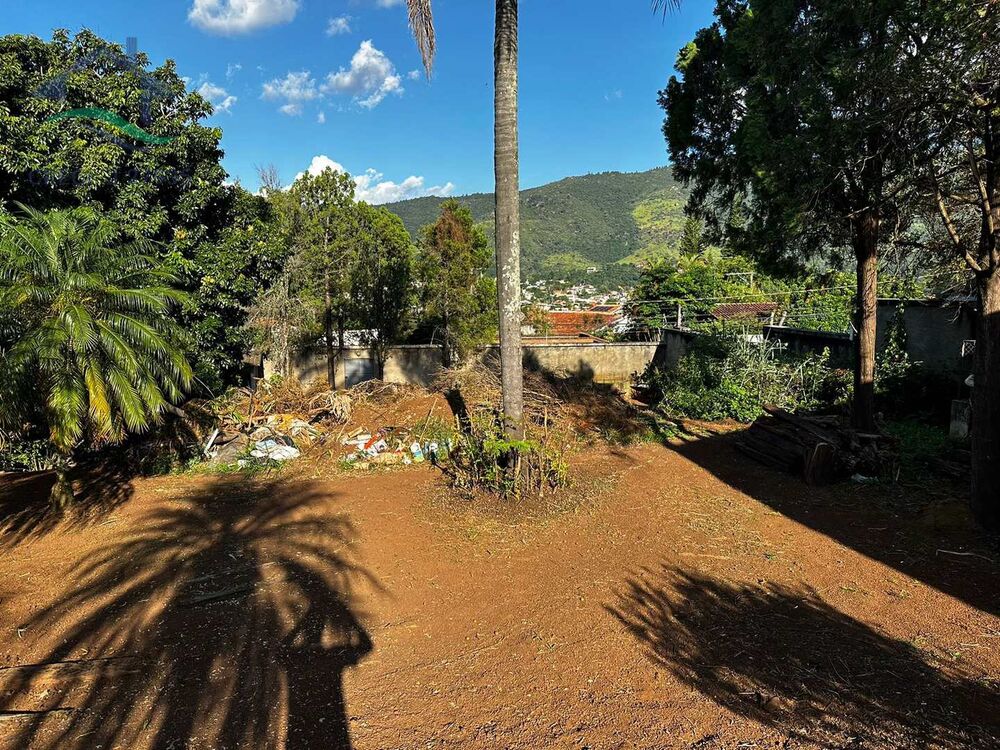 Casa, 4 quartos, 800 m² - Foto 3