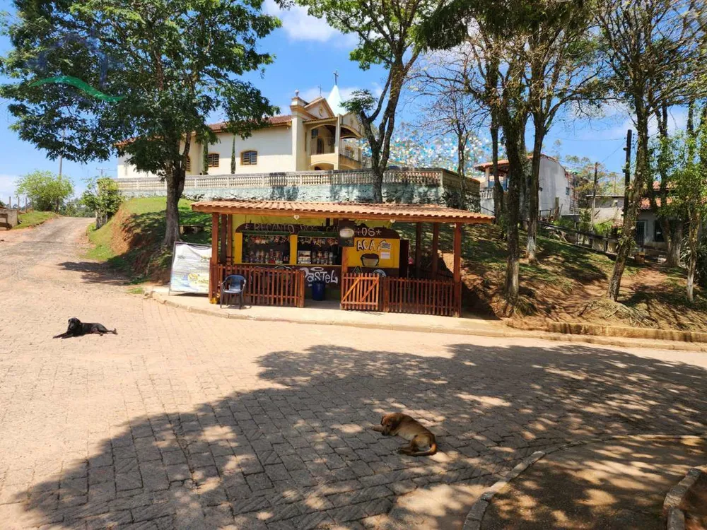 Sítio, 2 quartos, 53 hectares - Foto 6