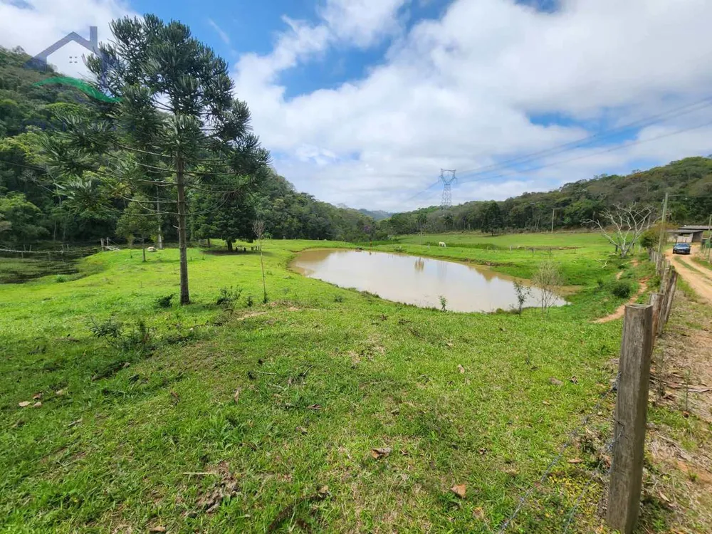 Sítio, 2 quartos, 53 hectares - Foto 2