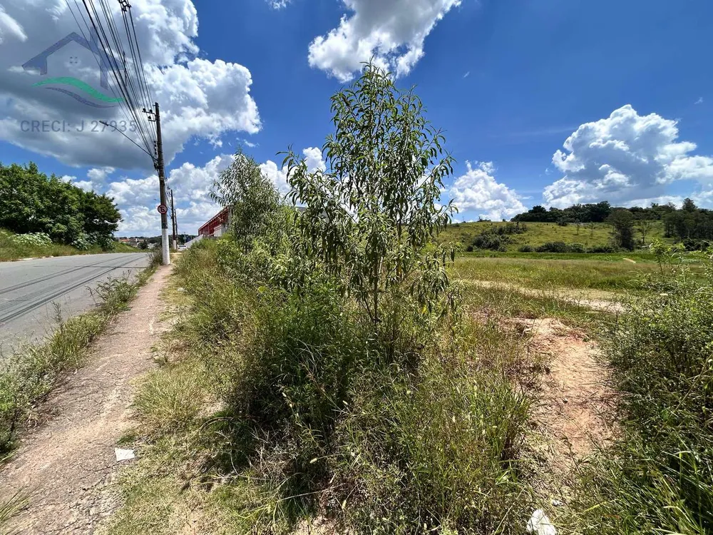 Terreno, 3 hectares - Foto 3
