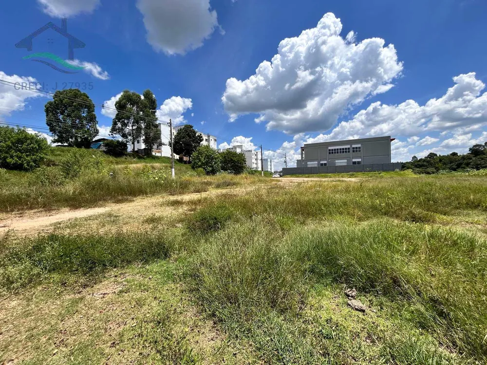 Terreno, 3 hectares - Foto 7