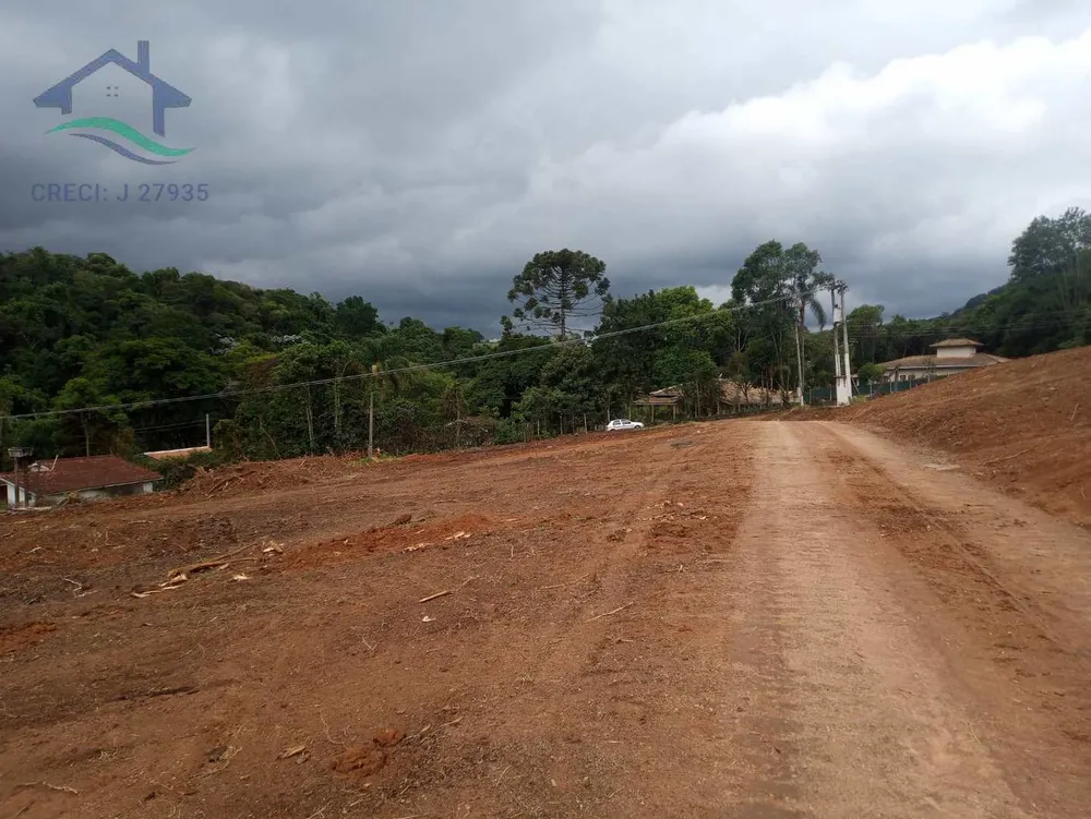 Terreno, 5 hectares - Foto 7