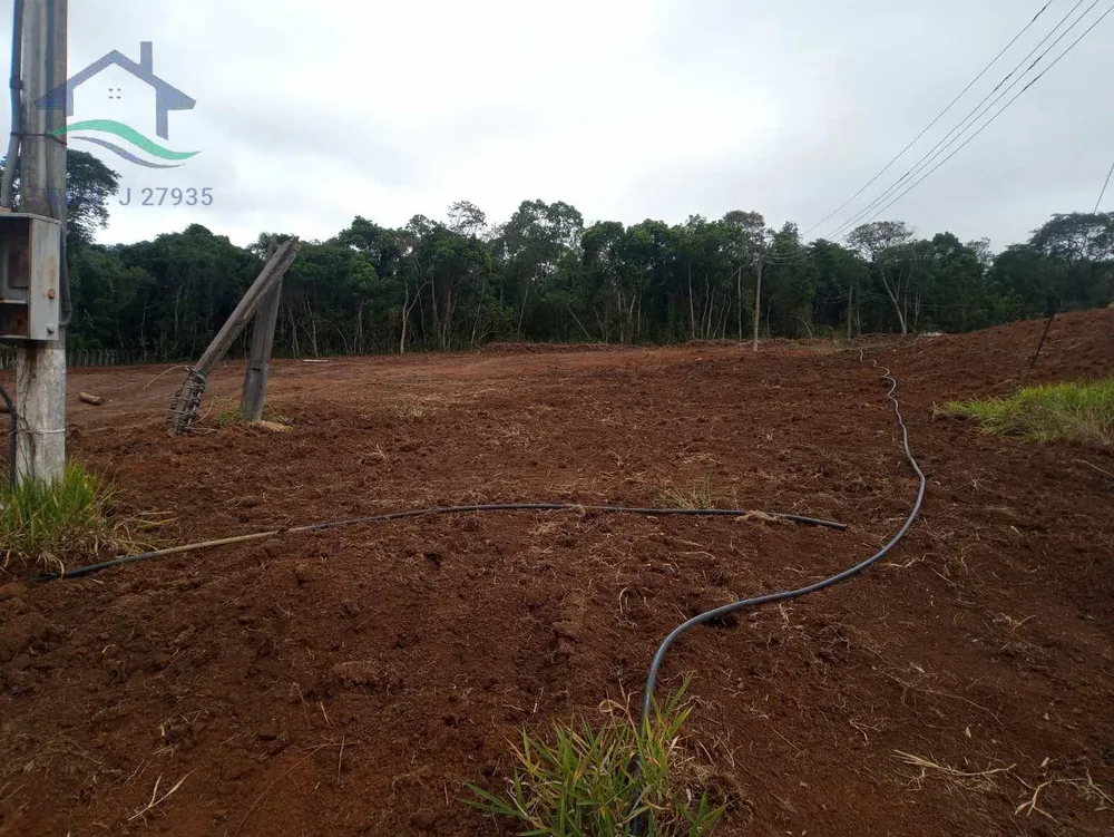 Terreno, 5 hectares - Foto 6