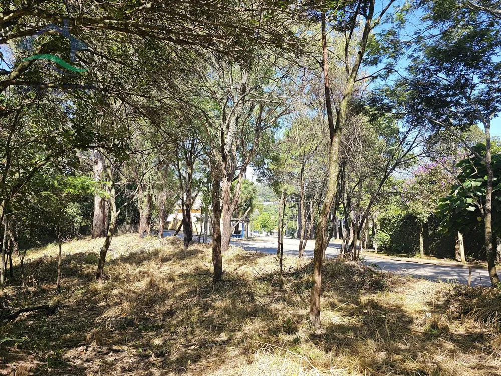 Terreno, 3769 m² - Foto 7