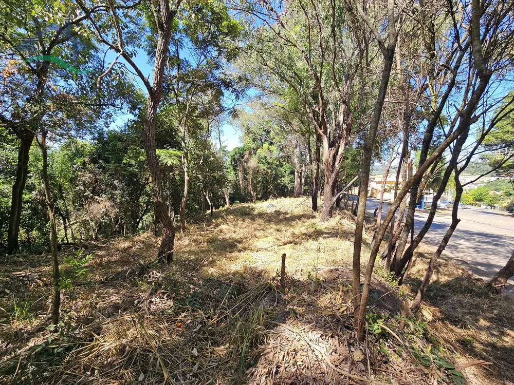Terreno, 3769 m² - Foto 11
