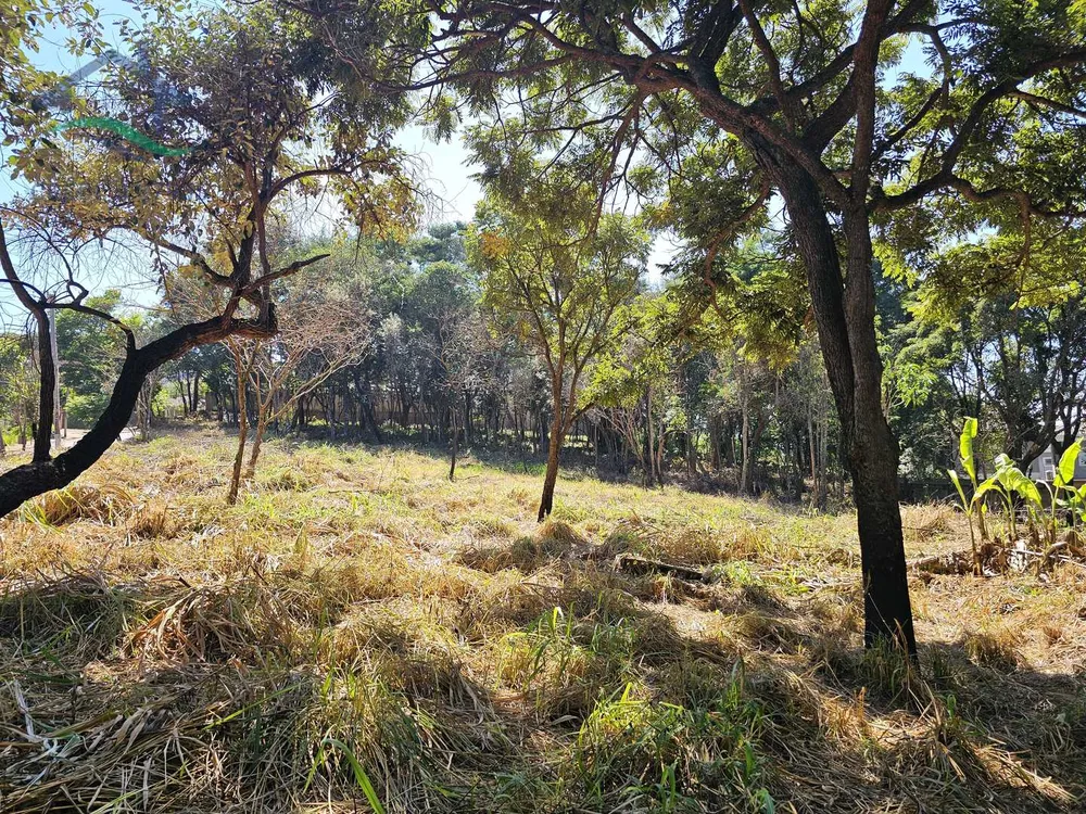 Terreno, 3769 m² - Foto 8