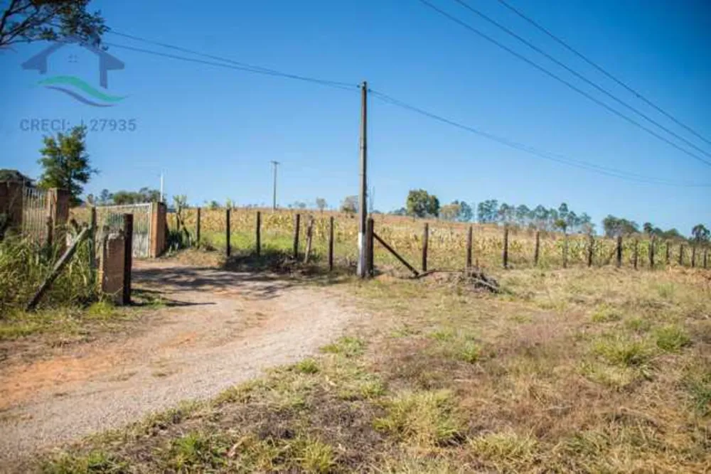 Terreno, 3 hectares - Foto 7