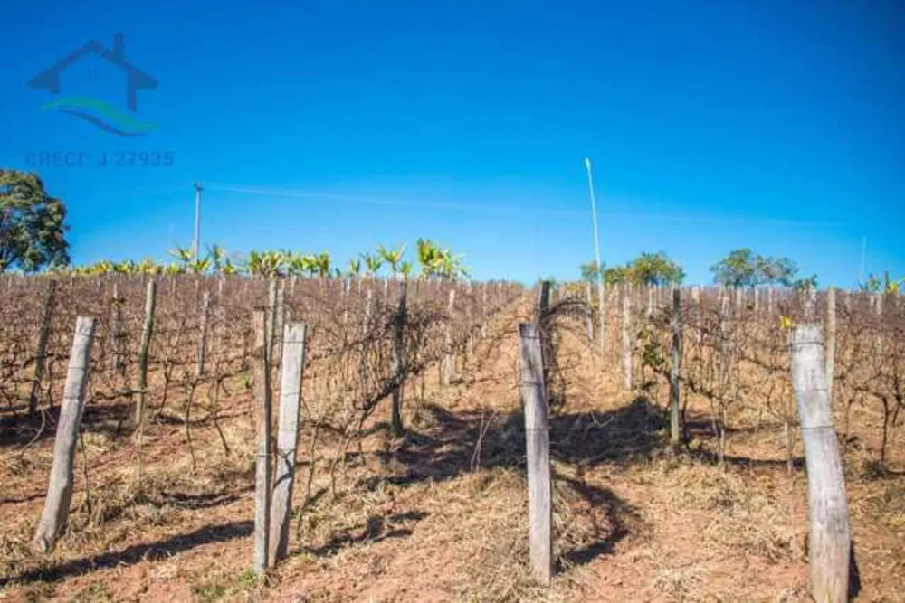Terreno, 3 hectares - Foto 4