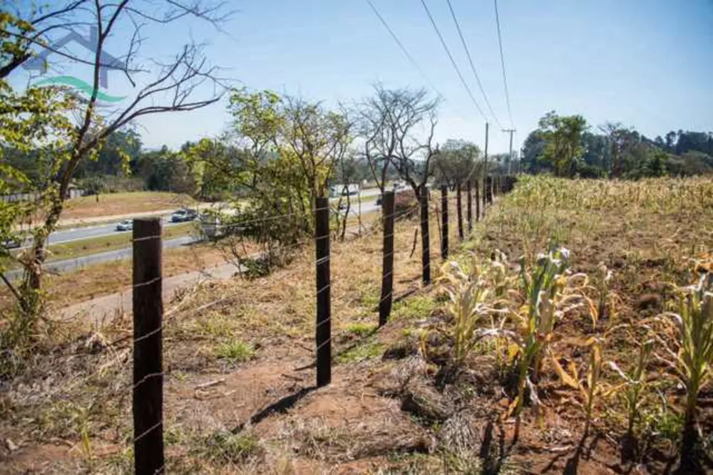 Terreno, 3 hectares - Foto 3