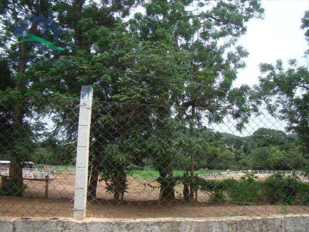 Terreno, 5 hectares - Foto 11