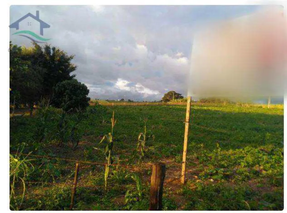 Terreno, 3 hectares - Foto 6