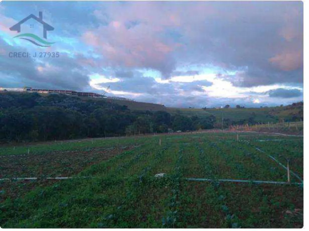 Terreno, 3 hectares - Foto 12