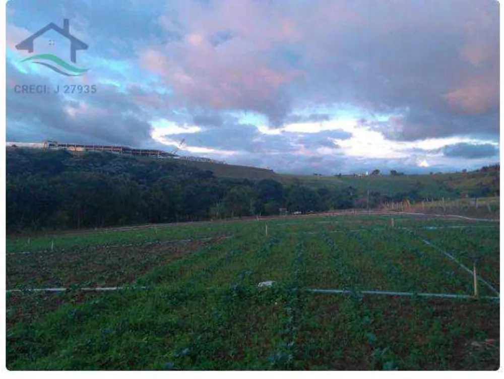 Terreno, 3 hectares - Foto 1