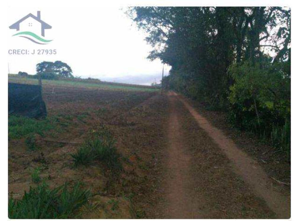Terreno, 3 hectares - Foto 3