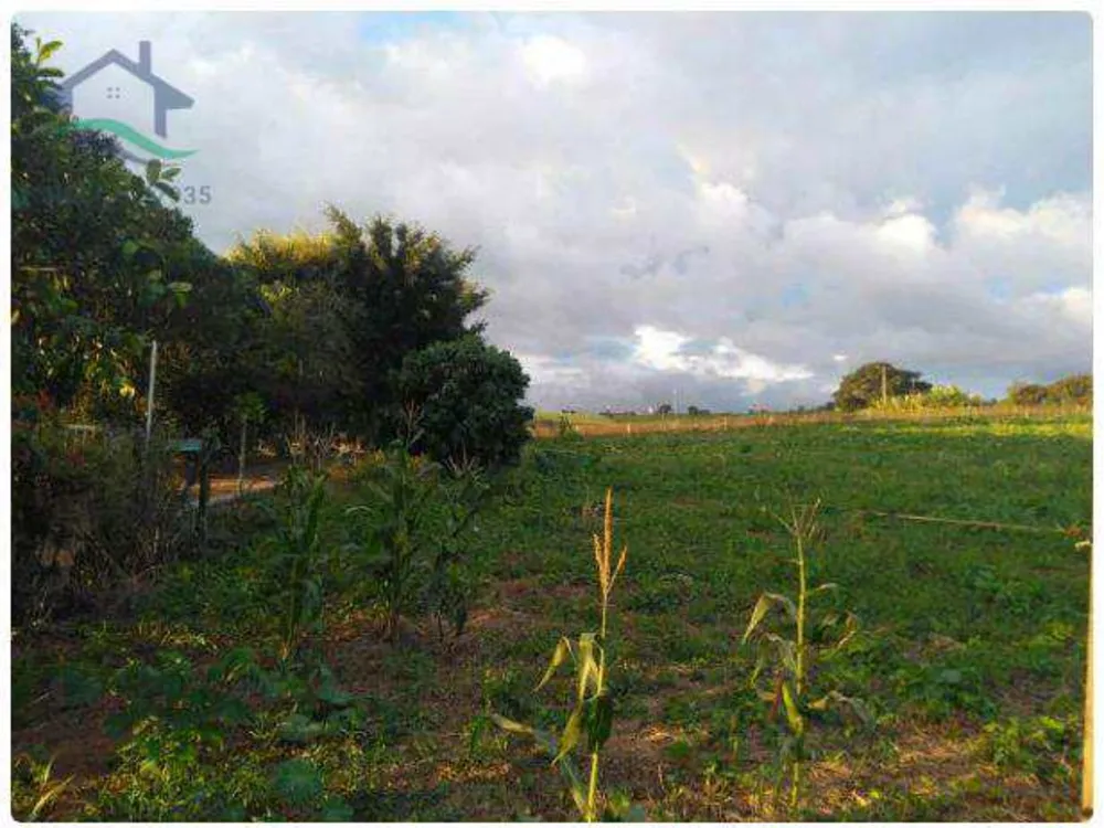 Terreno, 3 hectares - Foto 8