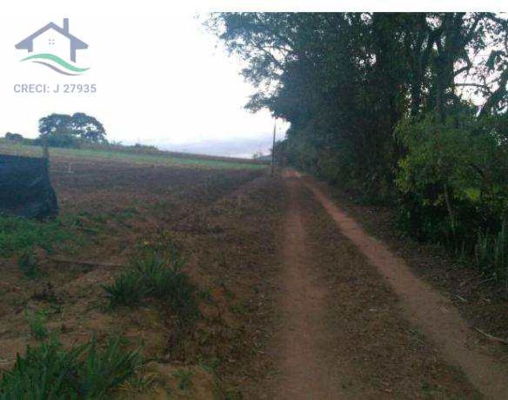 Terreno, 3 hectares - Foto 1