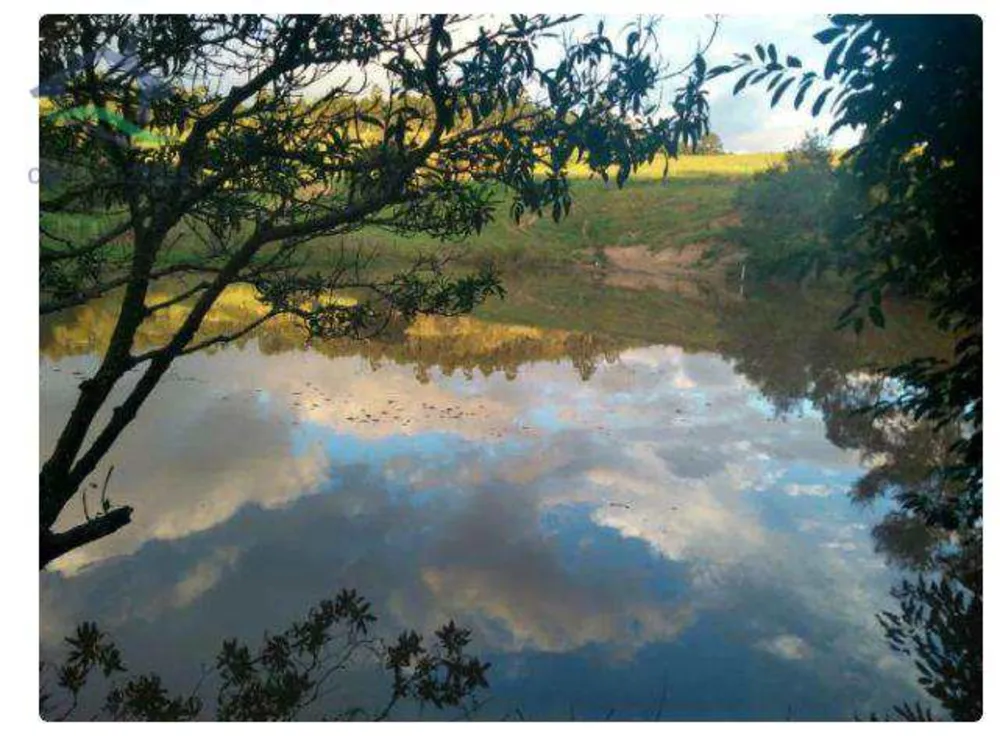 Terreno, 3 hectares - Foto 4