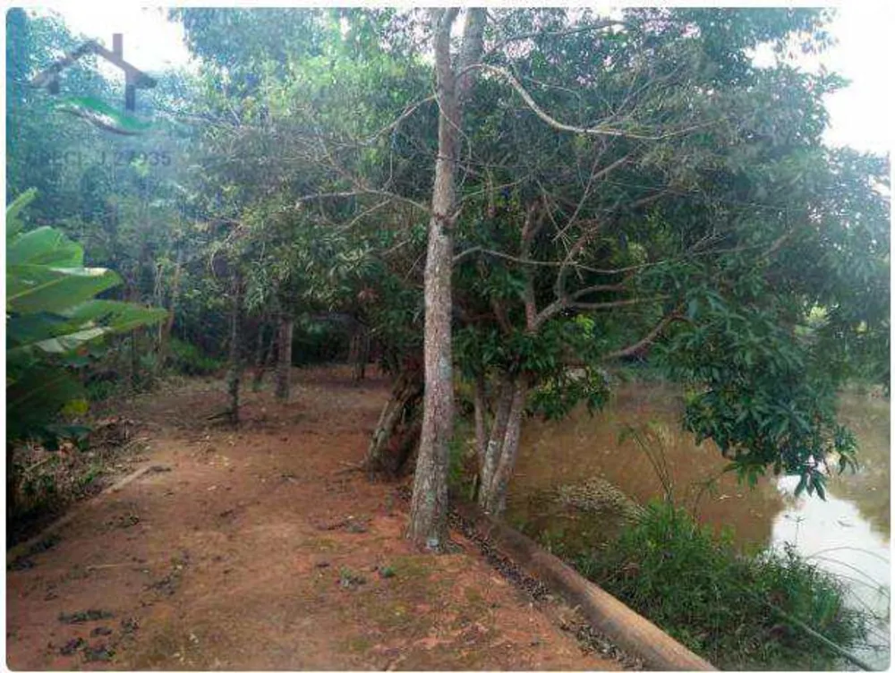 Terreno, 3 hectares - Foto 7