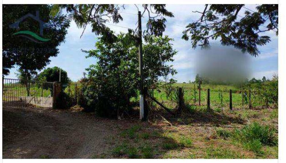 Terreno, 3 hectares - Foto 4