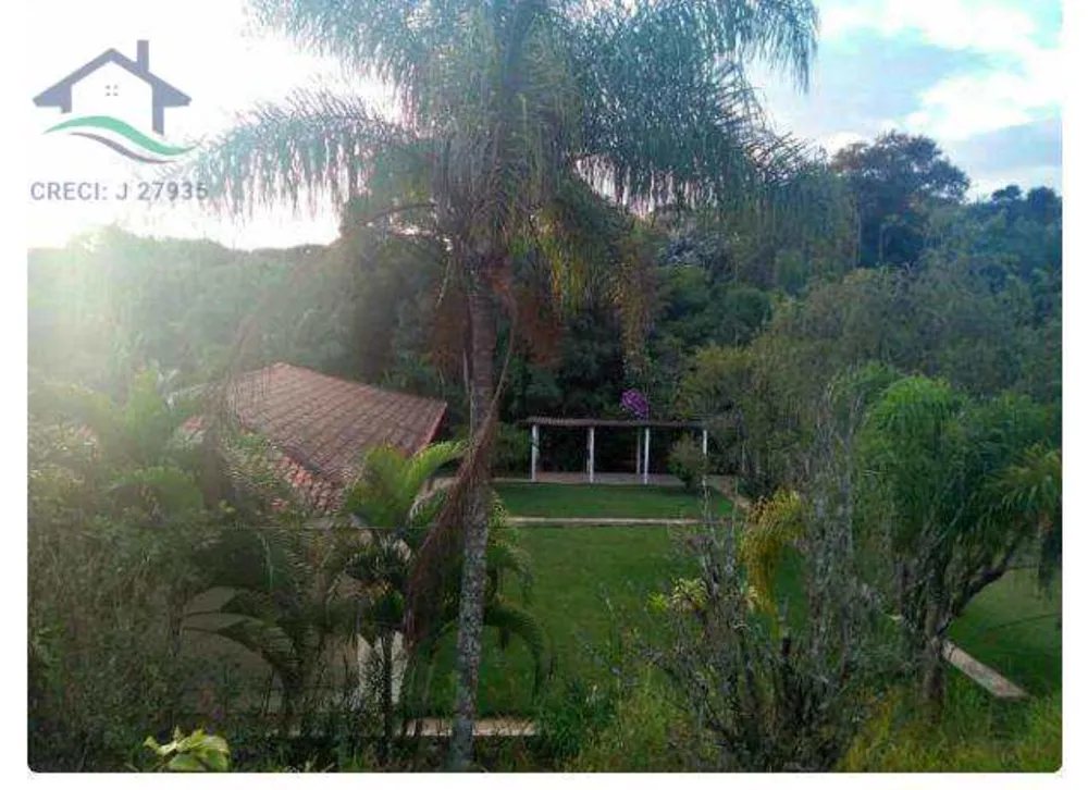 Terreno, 3 hectares - Foto 7