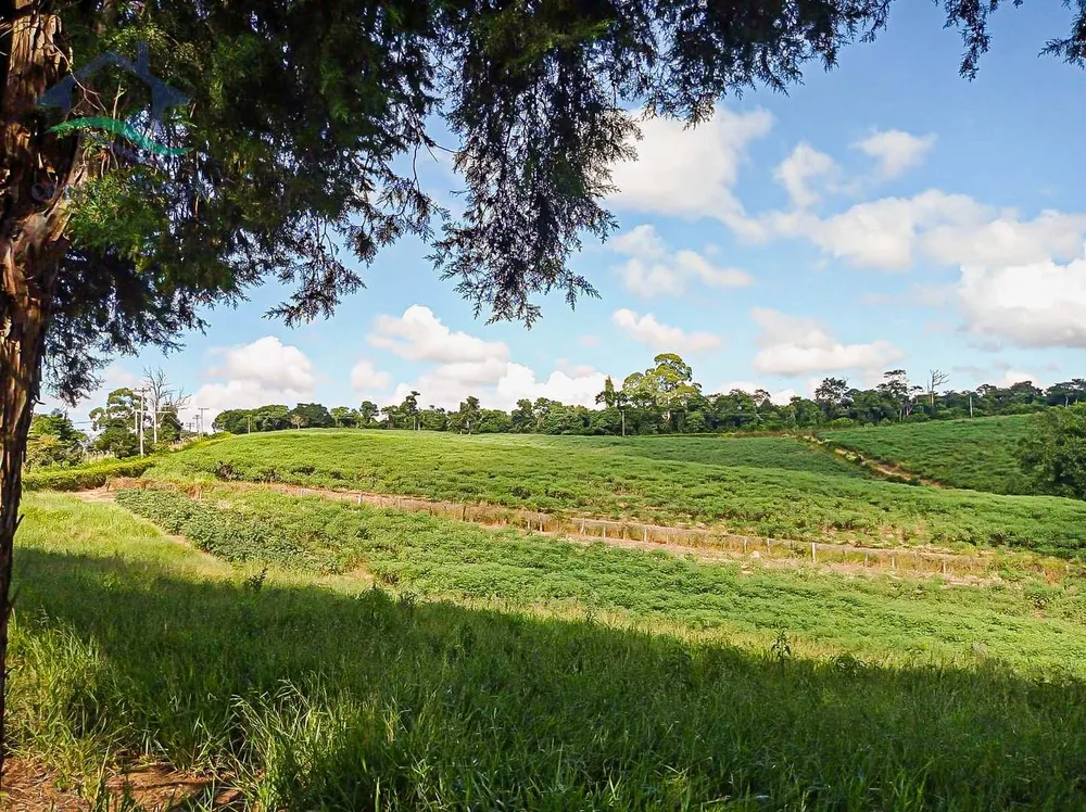 Terreno, 2 hectares - Foto 1