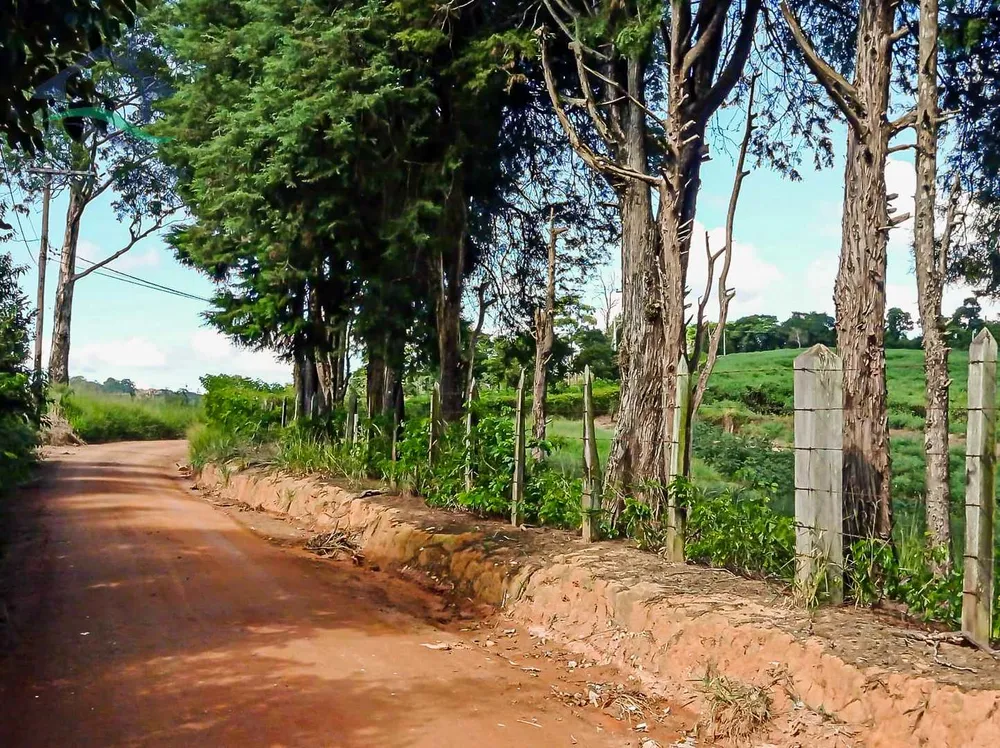 Terreno, 2 hectares - Foto 8