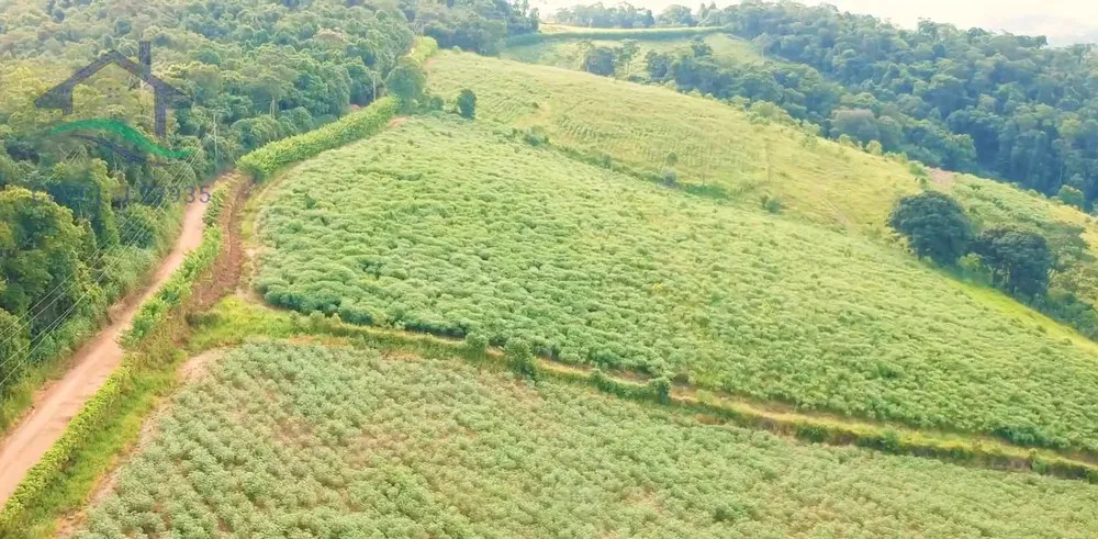 Terreno, 2 hectares - Foto 6