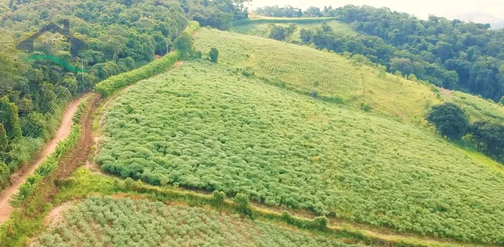 Terreno, 2 hectares - Foto 8