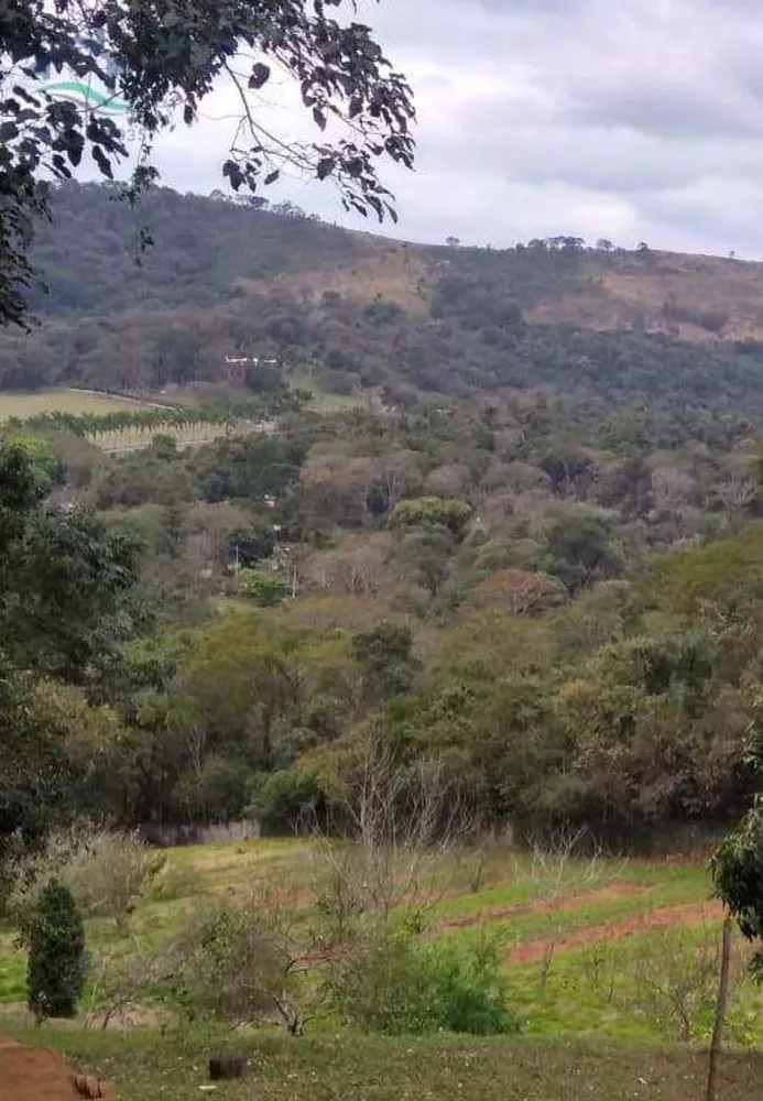 Terreno à venda, 13100m² - Foto 4