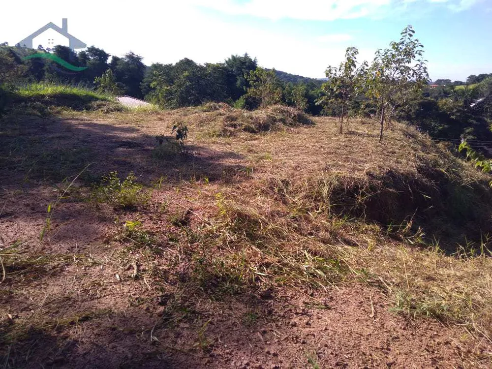 Terreno, 2033 m² - Foto 7